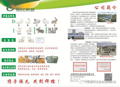 第七屆2017中國(guó)兔業(yè)發(fā)展大會(huì) 行業(yè)精英齊聚，技術(shù)與服務(wù)共繪產(chǎn)業(yè)藍(lán)圖